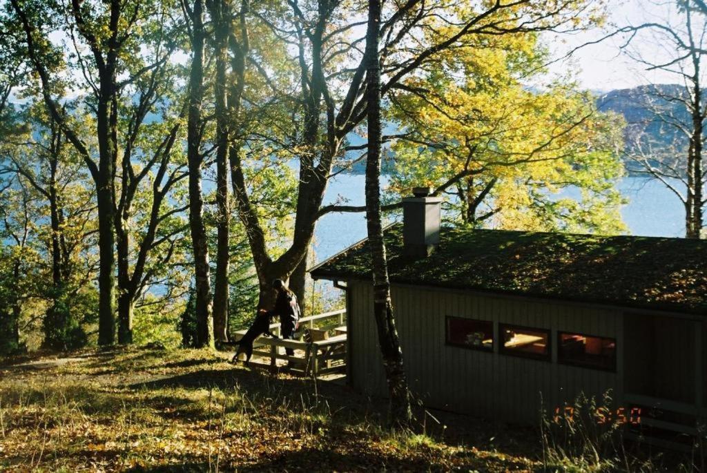 Vila Hardanger Feriesenter Neshagen Norheimsund Exteriér fotografie